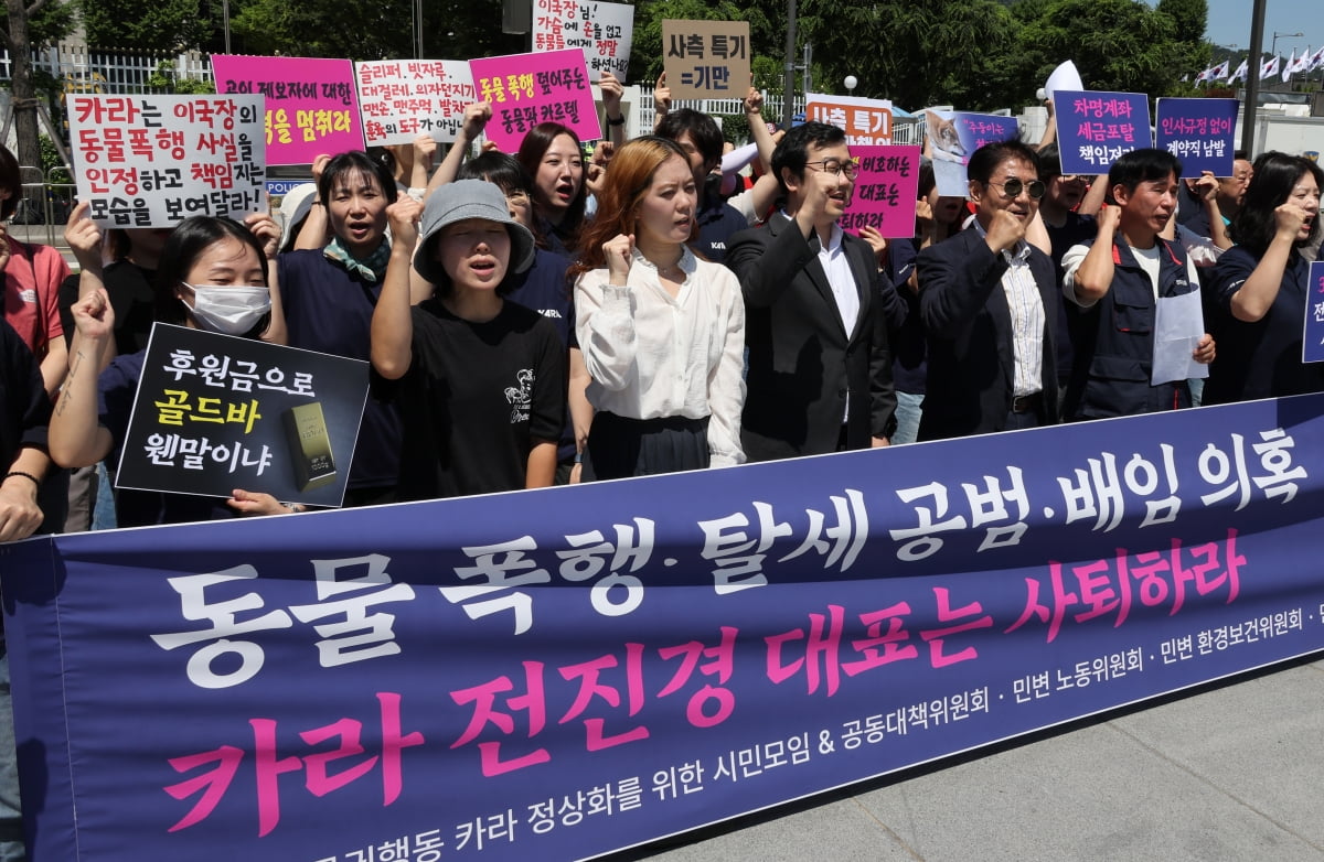 공방카라 이미지