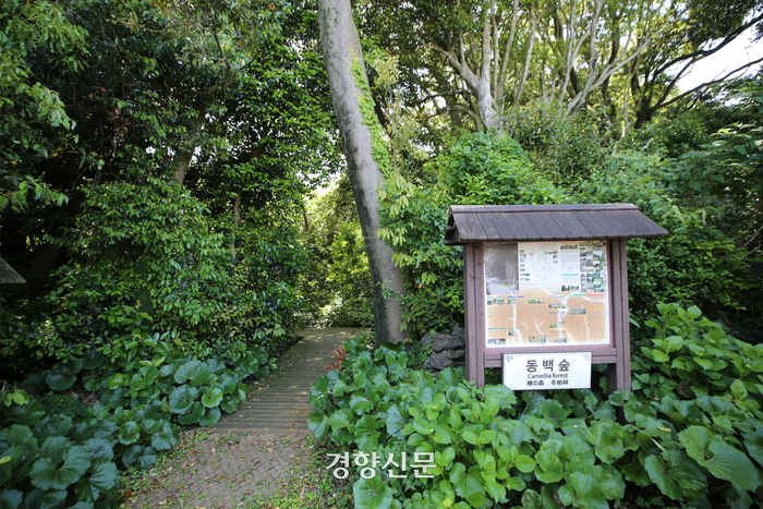 동백고장보전연구회 이미지