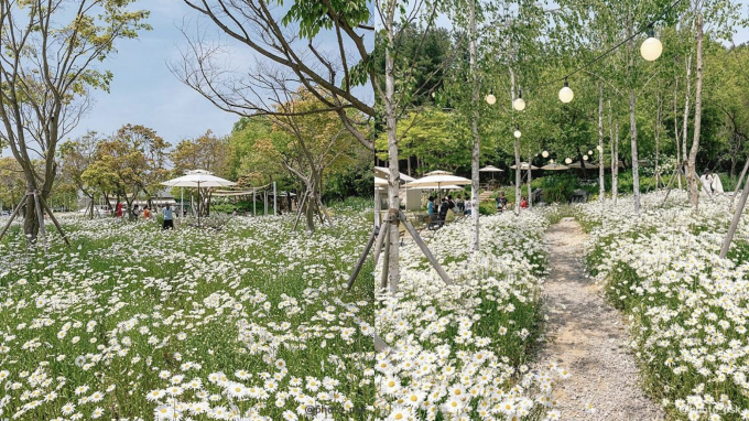 필베이커리 이미지