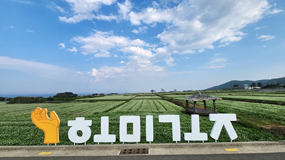 어우러져 이미지