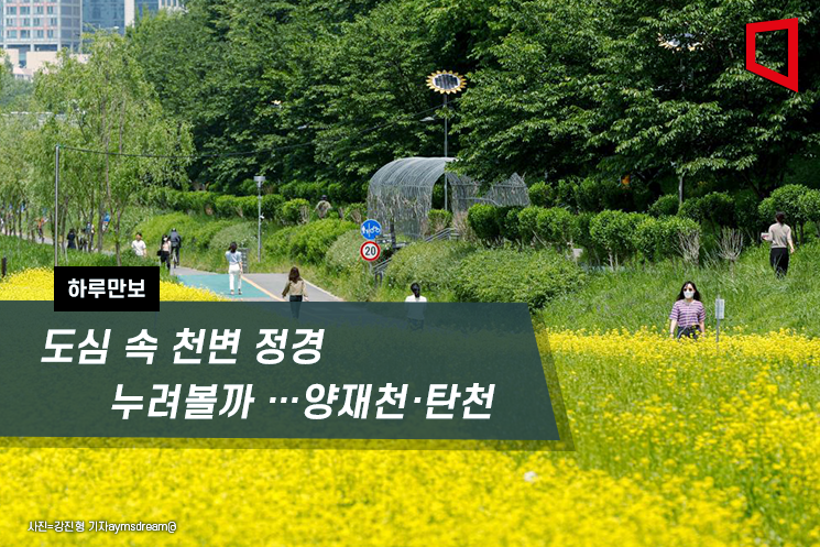 도심속의하루 이미지