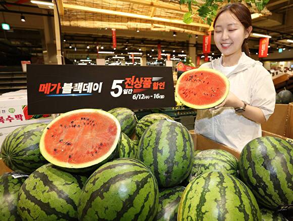 메가마트 이미지