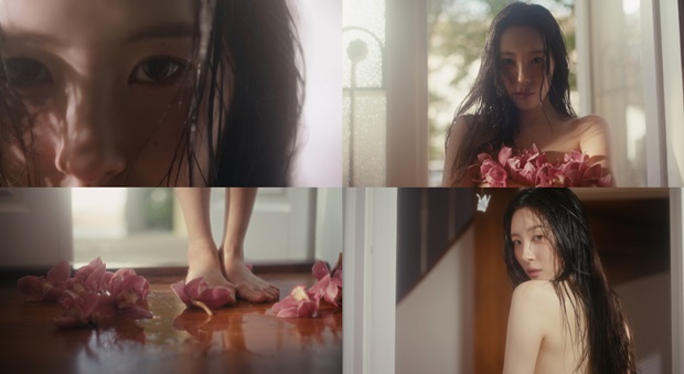 선미네 이미지