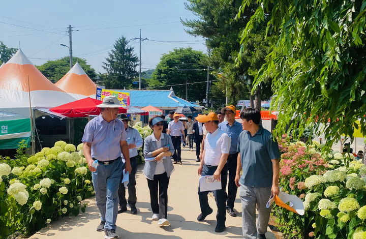 색동 이미지