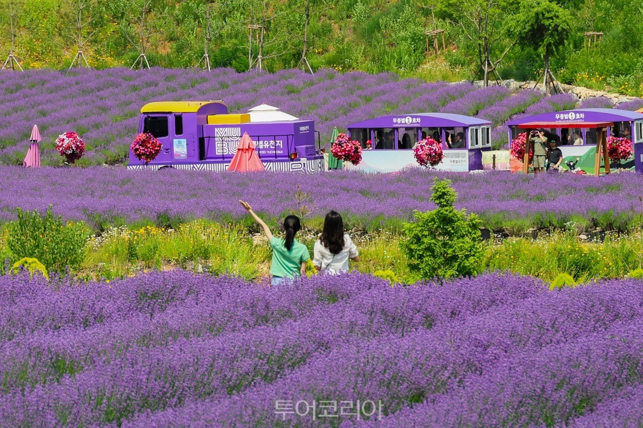 무릉별유천지전망카페 이미지