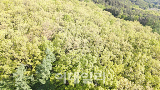 우리숲사회적협동조합 이미지