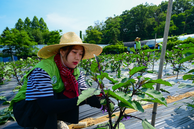 한마음유통 이미지