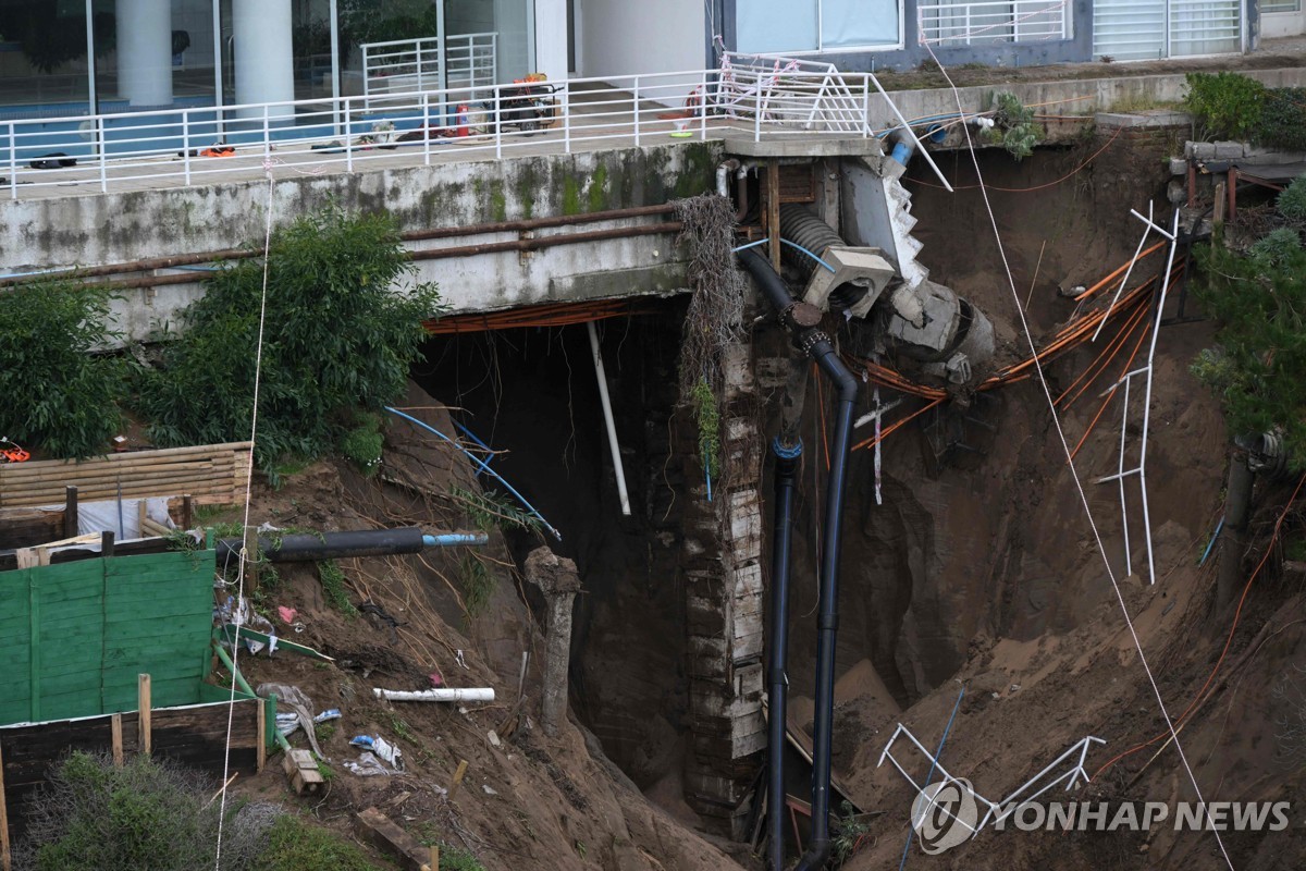 토하주 이미지