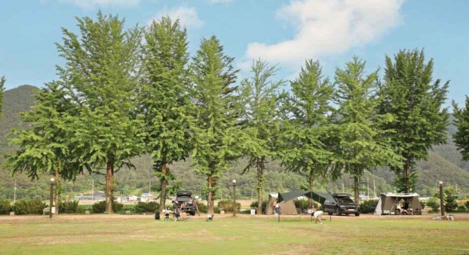 더본외식산업개발원문경센터 이미지