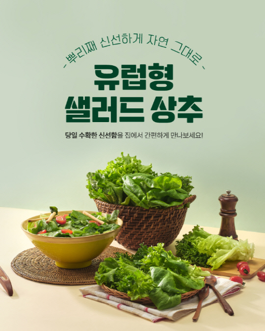푸른정보통신 이미지