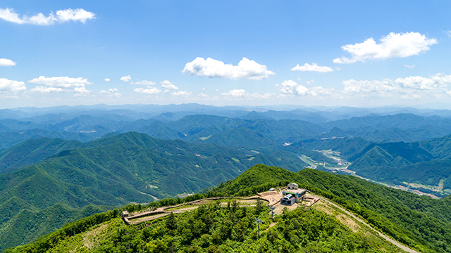 정선 이미지