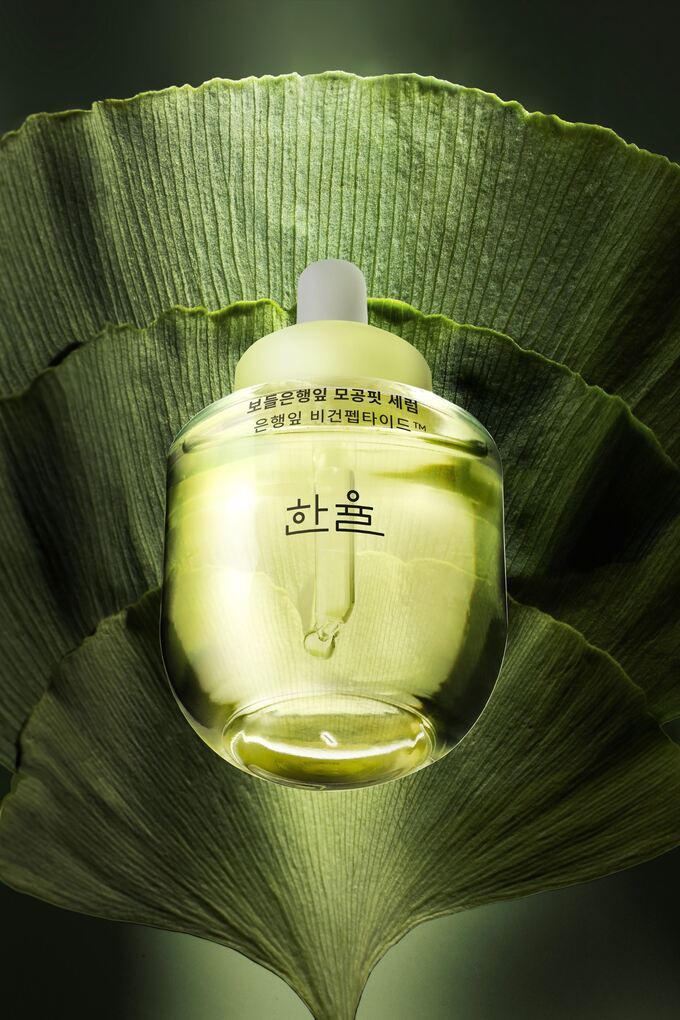 잎 이미지