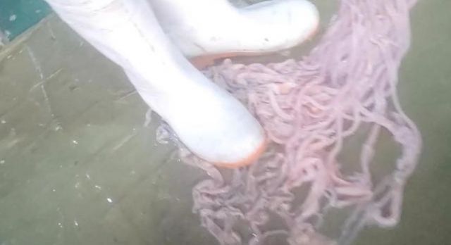 산두식품 이미지