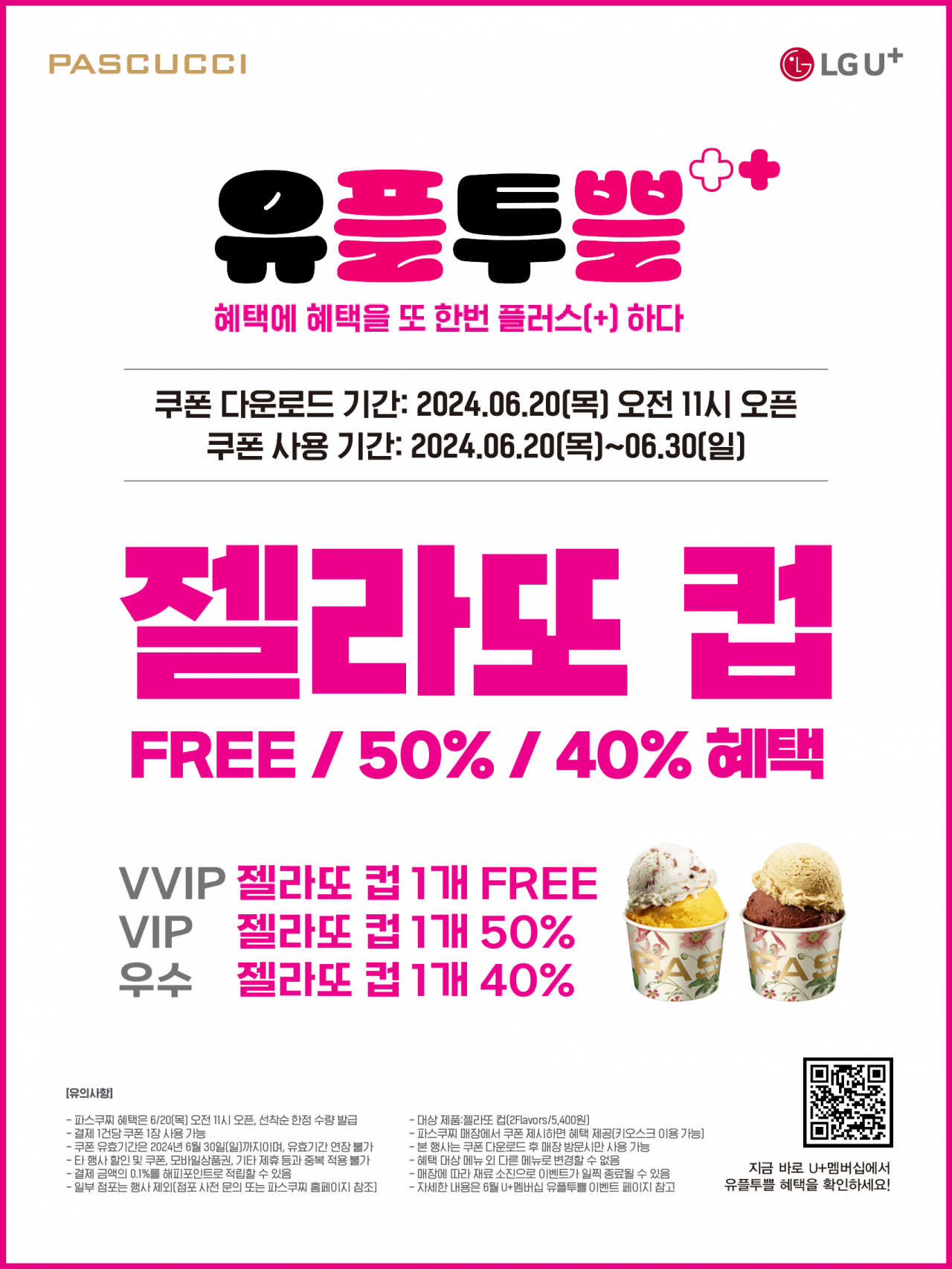파스쿠찌 이미지