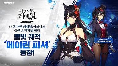 어라이즈 이미지