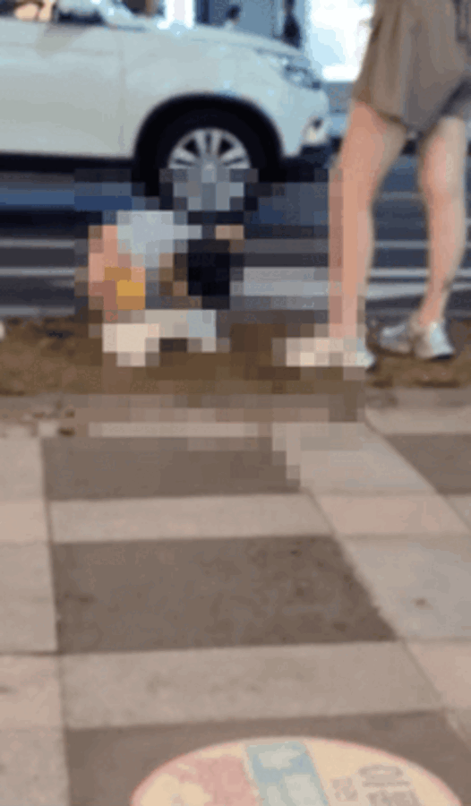 볼일을 보고 일어서는 아이 영상 (온라인 커뮤니티 캡처)