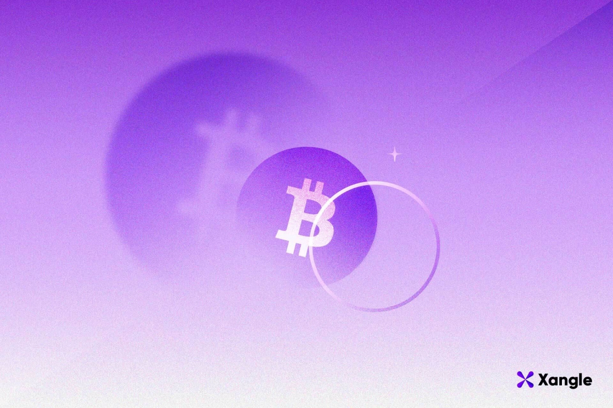 비트코인의 내재가치, 어떻게 바라봐야 할까? [한경 코알라]