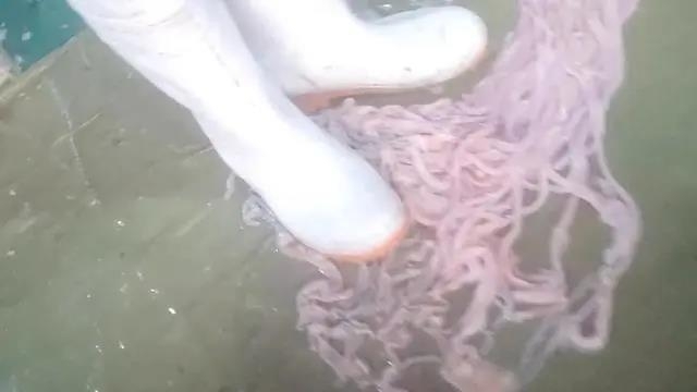 중국식품식당 이미지