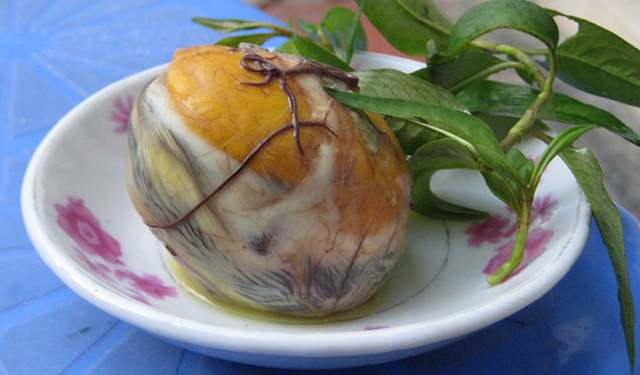 노인의 기운이 없을 때 섭취하면 좋은 영양제는