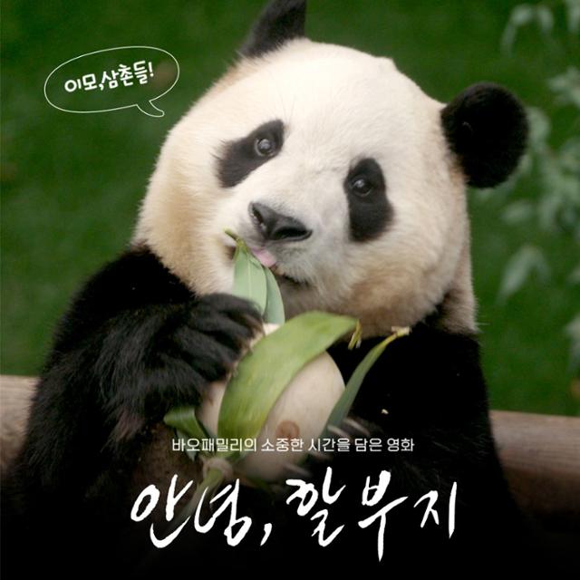 영화물산 이미지