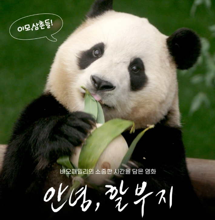 영화물산 이미지