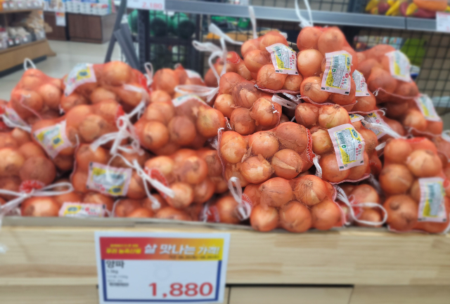 양파 이미지