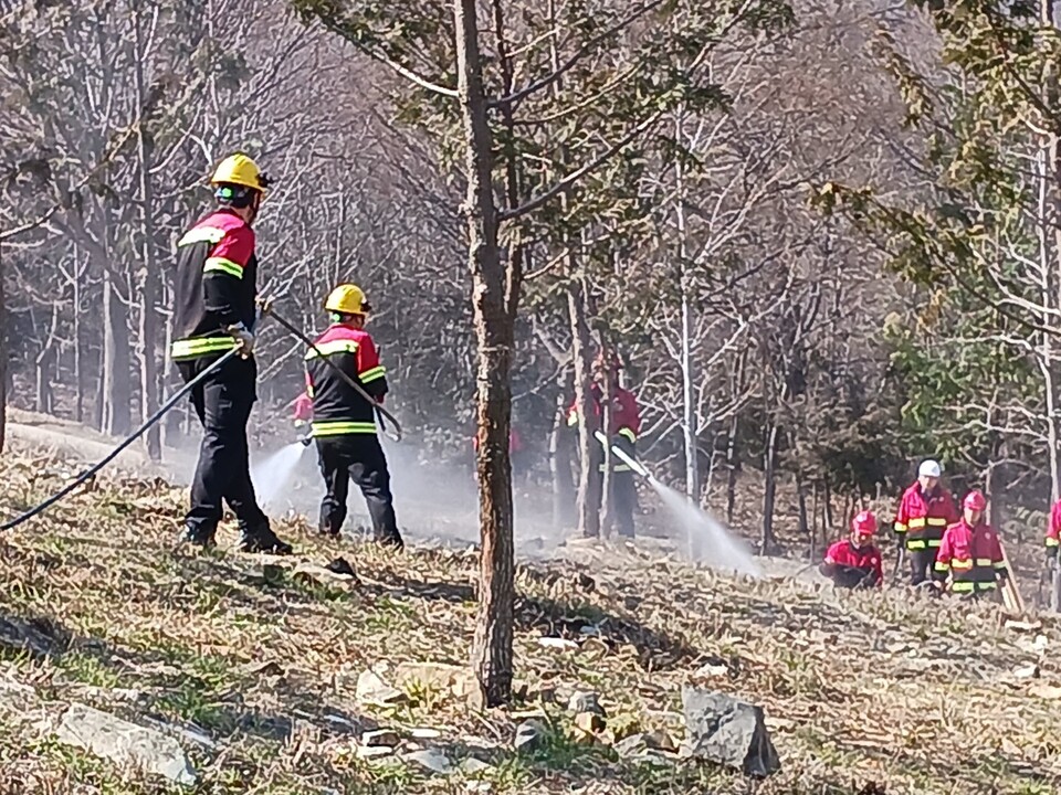 꽃과 노닐다 이미지