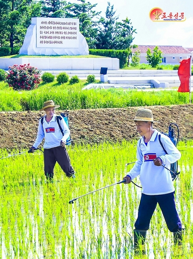 대청조명 이미지