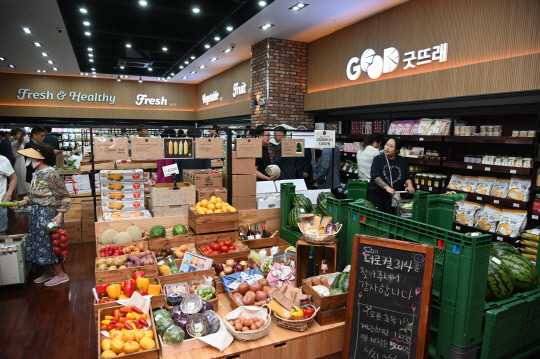 더로컬 314 이미지