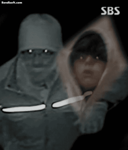 누리꾼이 비교한 구하라 금고털이범 몽타주와 지코 사진. /영상=온라인 커뮤니티