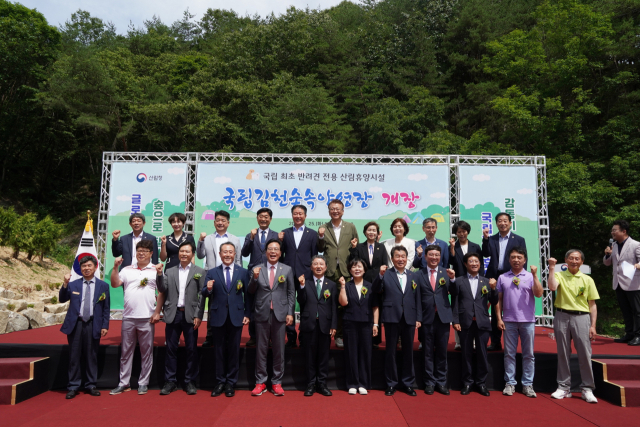 국립김천숲속야영장 이미지