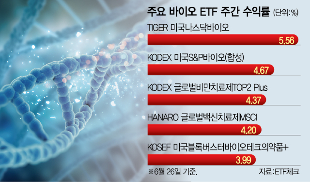 허브앤바이오 이미지