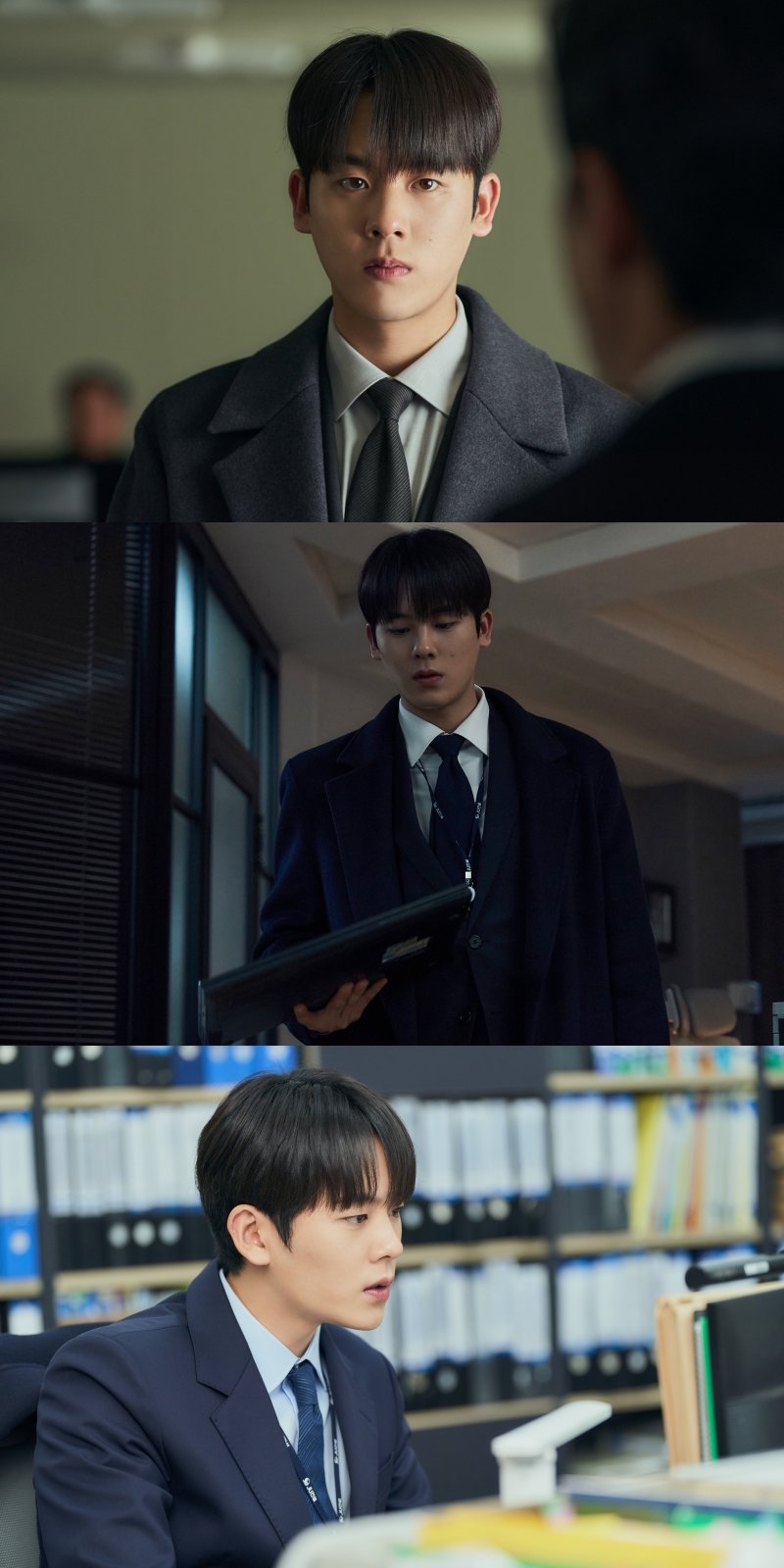 금쪽이 이미지