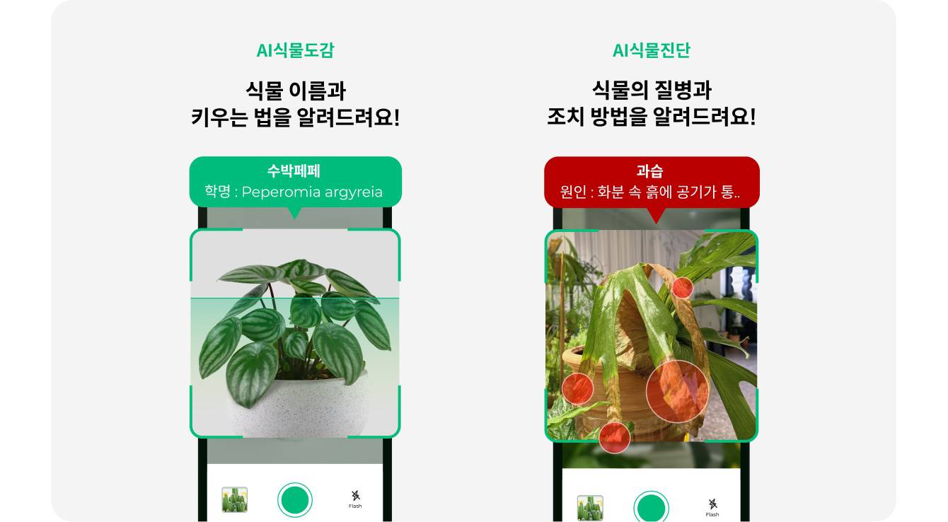 그루 이미지