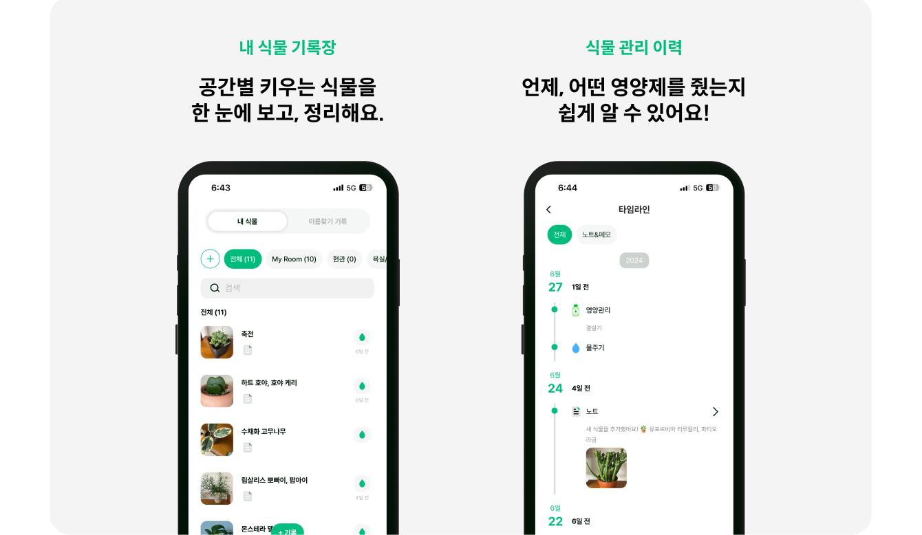 그루 이미지