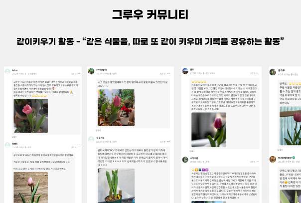그루 이미지