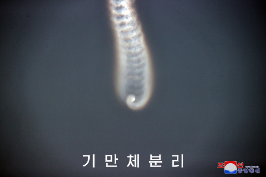 비틀비틀 이미지