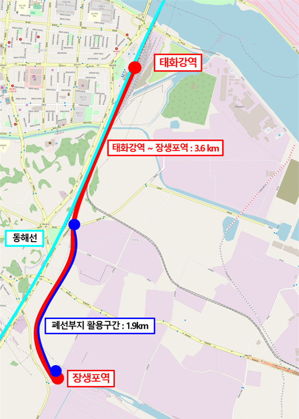 장생 이미지