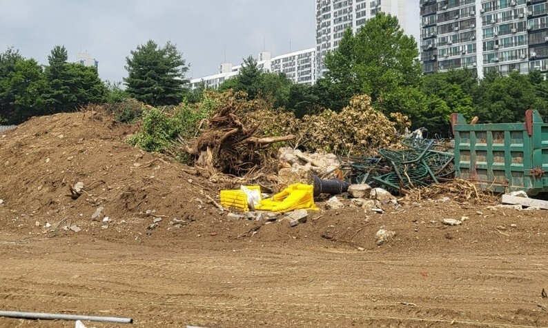 나무206 이미지