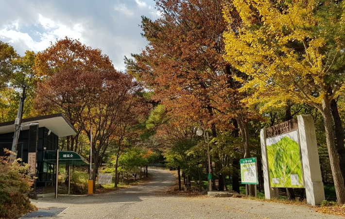 토함산자연휴양림 이미지