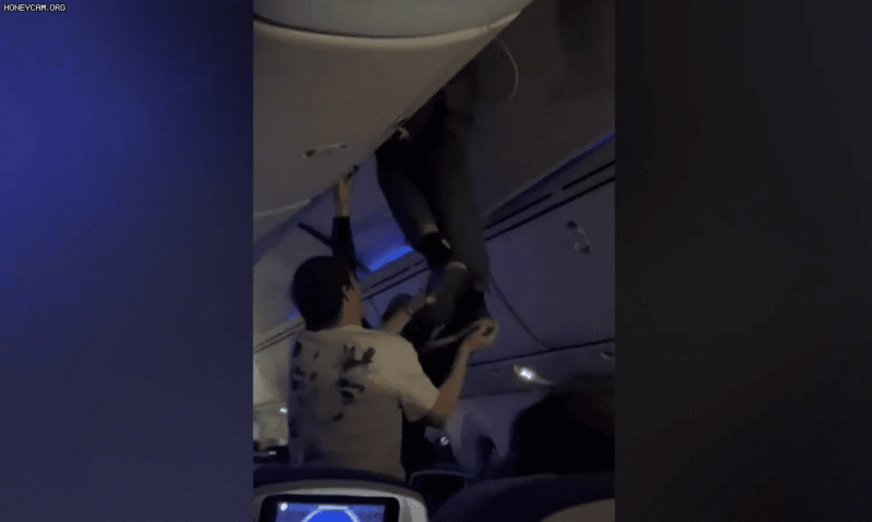 사진=X(옛 트위터) @alice958