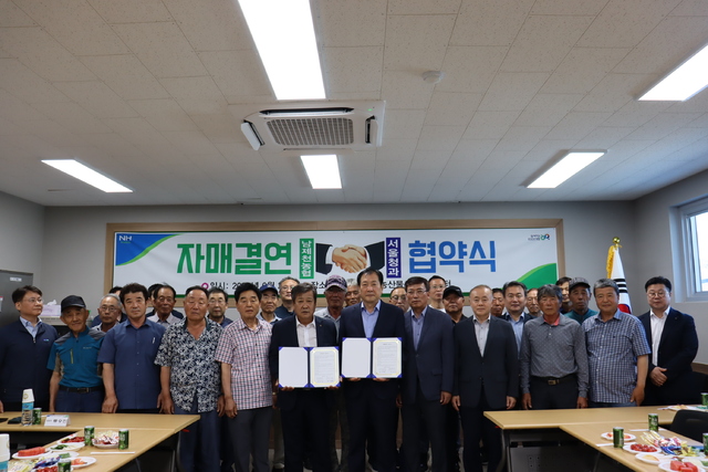 충북청과 이미지