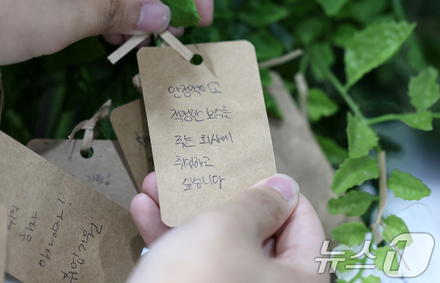 리뉴어스 주식회사 이미지