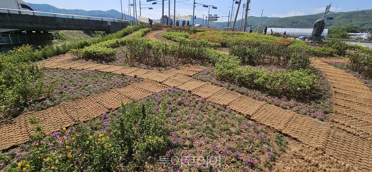 쌈지이천 이미지