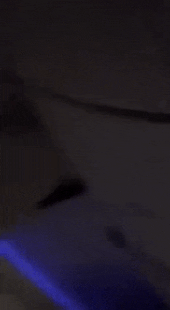 1일(현지 시각) 스페인 마드리드에서 출발한 우루과이 몬테비데오행 비행기가 강한 난기류를 만나 한 승객이 짐칸에 박혔다. 사진=엑스 갈무리