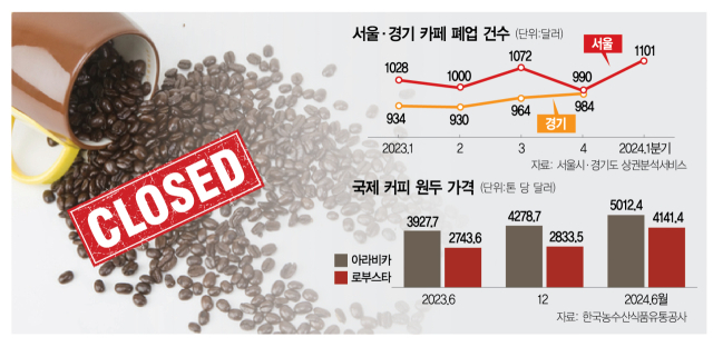 카페나와 이미지
