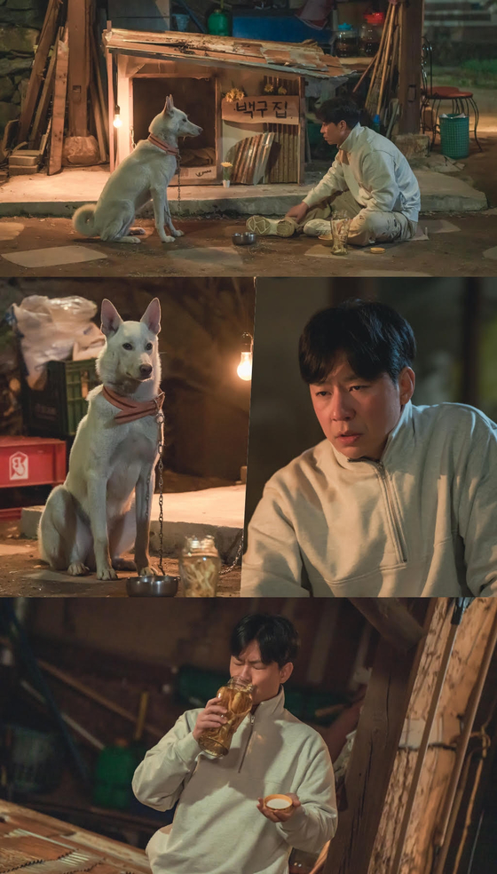 돈가스다 이미지