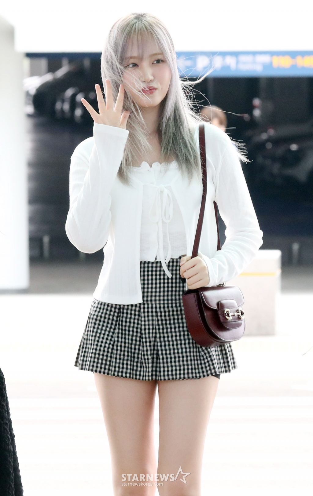 리즈 이미지