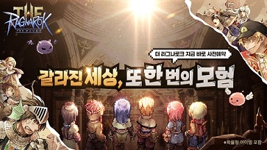 더 이미지