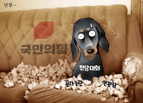 만평 이미지